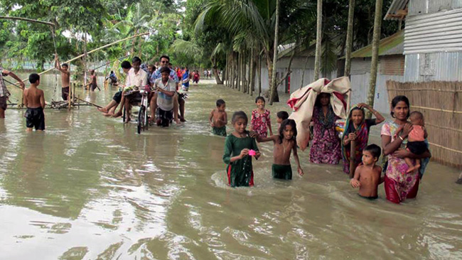 বিপদসীমার ওপরে ১২ নদীর পানি 