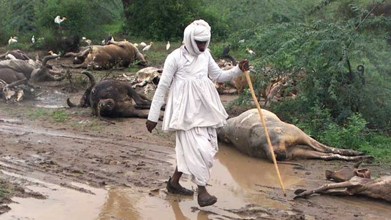 ‘তোমার মা, তুমিই পোড়াও’ 