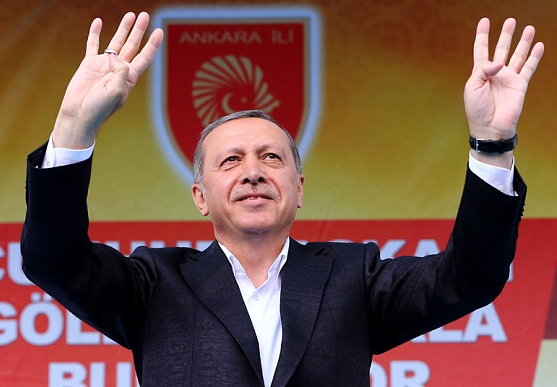 ألمانيا تمنع ظهور أردوغان عبر "الفيديو كونفرانس" في مظاهرة لأنصاره 
