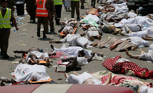 Iran seriously pursuing Mina tragedy: Official