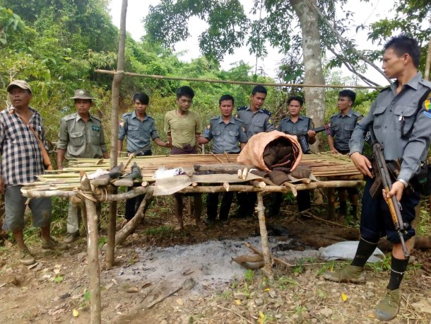 အေရခြံ ဆုတ္ခံေနရသည့္ ေတာဆင္မ်ား (၁)