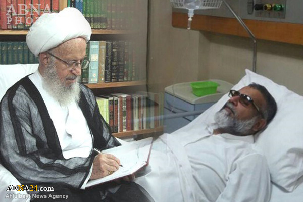 Grand Ayatollah Makarem Asks Allama Jafri to End Hunger Strike Over Physical Deterioration