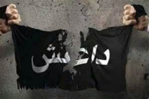 ابوبکر بغدادی کے خلاف داعشی کمانڈروں کی بغاوت  