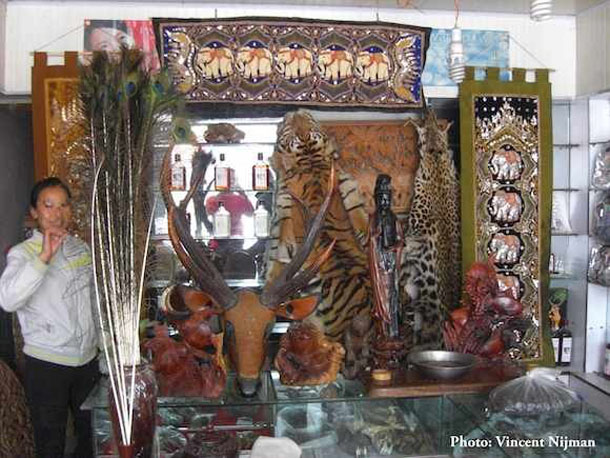 တနသၤာရီေဒသ က်ားထိန္းသိမ္းေရး ေဆာင္ရြက္မည္