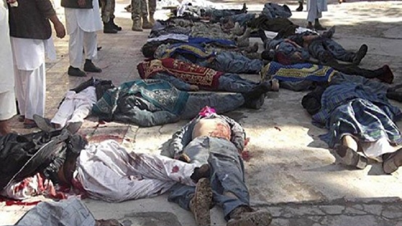 افغان فوج کے ہاتھوں ۵۰ سے زائد طالبان دھشتگرد ہلاک