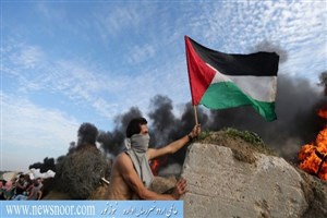 غزہ پٹی پر اسرائیلی فوج کے تازہ حملوں کی شدید مذمت