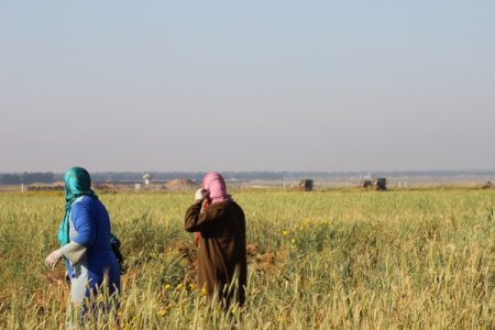 Israeli Soldiers Open Fire On Farmers In Gaza