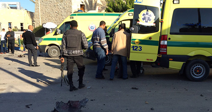 Egyptian drone kills terrorist leader in north Sinai