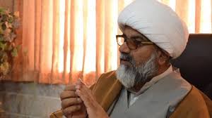 دہشت گرد عناصر امن و امان کے ذمہ دار اداروں کے لیے چیلنج: علامہ ناصر عباس جعفری