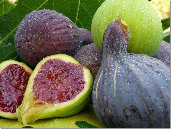 Como Combatir la Diabetes, Triglicéridos, Colesterol y Úlceras con la Fruta del Higo y sus Hojas