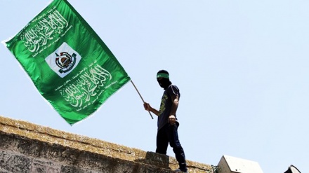 Hamas fordert Ende der Angriffe auf ihre Anhänger