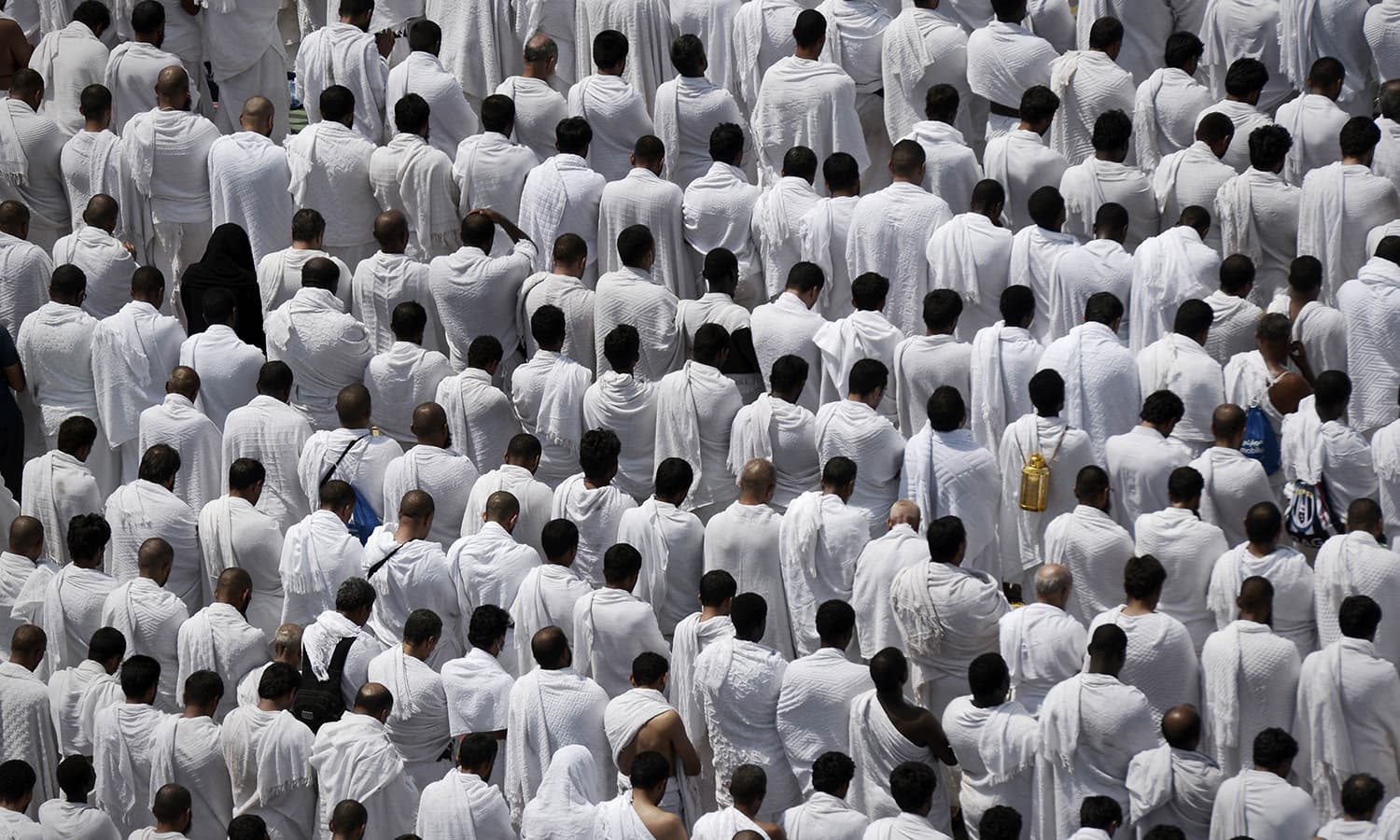اس سال سفر حج کے دوران اب تک سولہ مصری عازمین حج جاں بحق