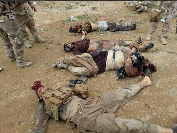 سيناء: مصرع 8 متشددين في قتال مع إحدى القبائل