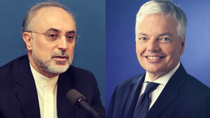 ایران اور بیلجیئم کے درمیان ایٹمی تعاون پر اظہار آمادگی
