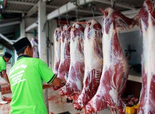 Idul Adha, Daging Kambing, Hipertensi Dan Kolesterol?