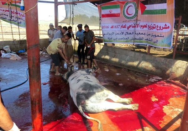 إيران توزع لحوم الأضاحي على آلاف الأسر الفلسطينية في غزة