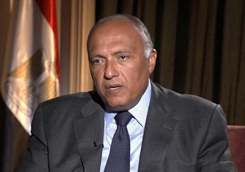 وزير الخارجية المصري يكشف عن تباين الآراء مع السعودية بشأن الأزمة السورية