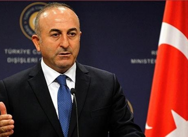Turkey may send troops deeper into Syria: Cavusoglu