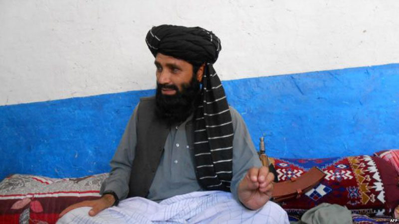 Top Pakistani Taliban commander killed by Afghan security forces / Pics