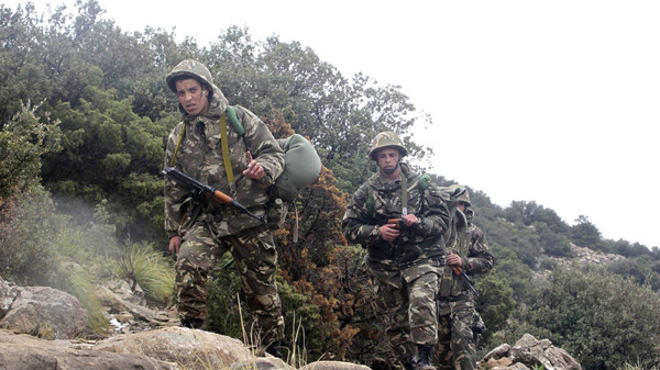 Algerian troops kill five takfiri militants: DM