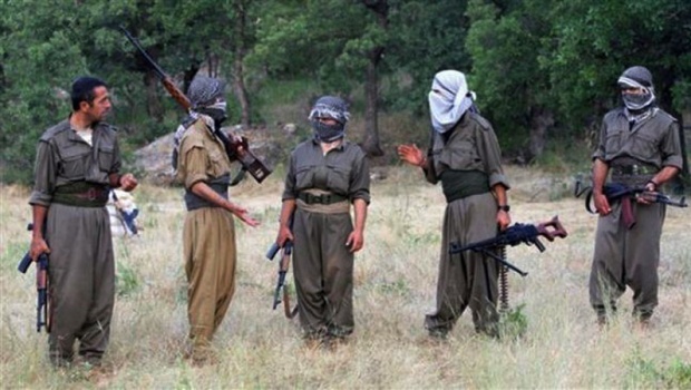 Six PKK militants killed in northern Turkey