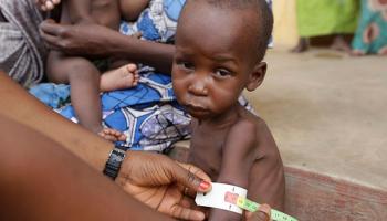 Nigeria suffering worst humanitarian crisis in world amid war with Boko Haram: UNICEF
