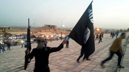 Ex-CIA-Mitarbeiter: USA seit jeher Hauptsponsor des IS 