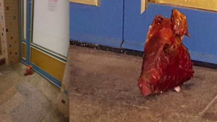 Schändung einer Moschee in Potsdam