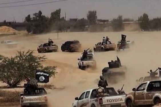 أمريكا تتعمد في عدم قصف أرتال داعش الهاربة من الموصل