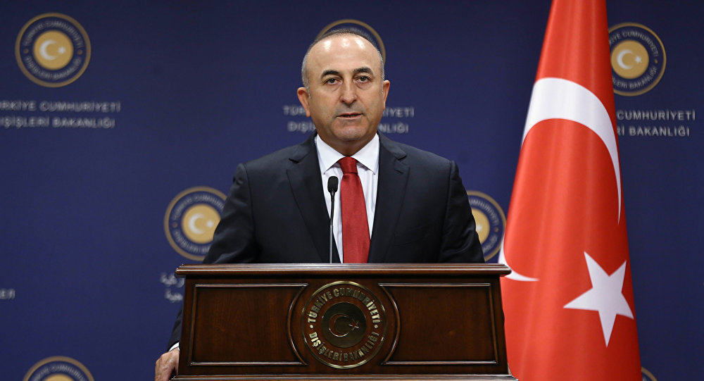 Ankara may launch ground operation in Iraq: Turkish FM
