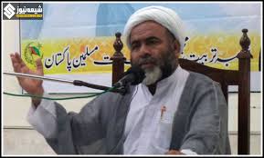 ملت تشیع کے علماء کے خلاف بے جا حکومتی اقدامات، ملک میں انتشار پیدا کرنے کی دانستہ کوشش: ایم ڈبلیو ایم