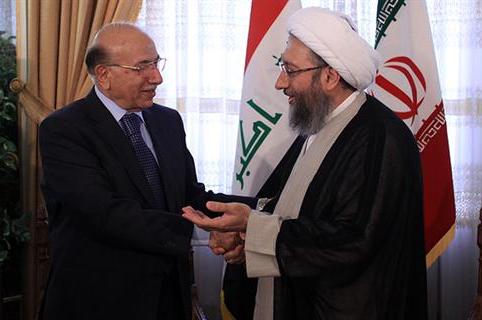 Backing Iraq among Tehran's long-term strategies: Iran's Judiciary Chief