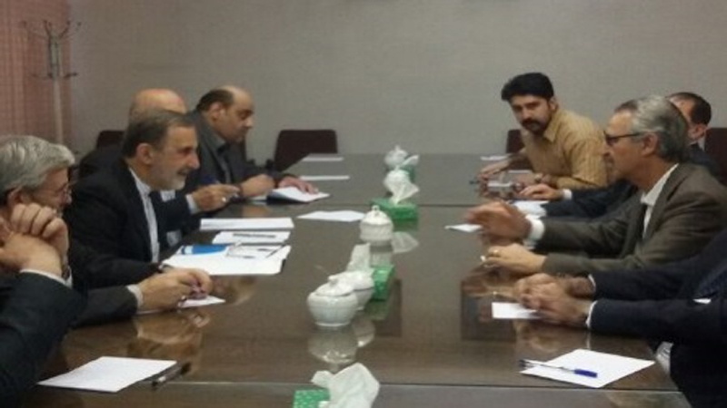 ڈاکٹر علی اکبر ولایتی کی علاقائی ملکوں کو تقسیم کرنے کی سازش کے مقابلے میں استقامت پر تاکید