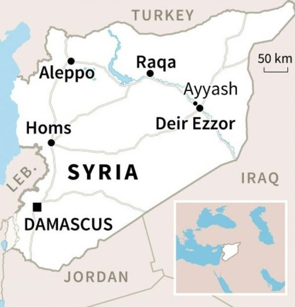 Aleppo truce begins