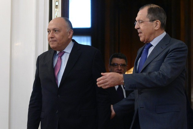 مباحثات مصرية وروسية حول التسوية السورية