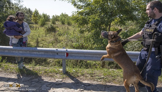 Avrupa Polisi ‘‘Mültecileri’’ Köpeklere Yem Etti / Foto(+18)