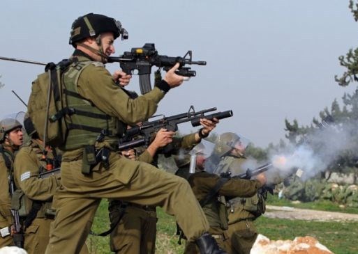 UN rapporteur 'very concerned' by Israel live fire against Palestinians