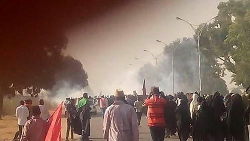 At least 10 martyred, several injured as Nigerian forces attack Shia rally ahead of Arba’een / Pics