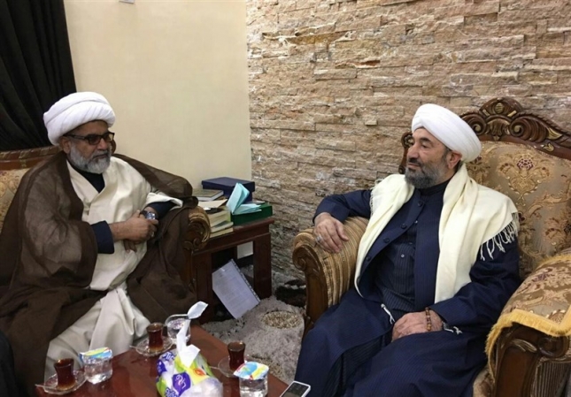 Senior cleric calls for Sunni-Shia unity 