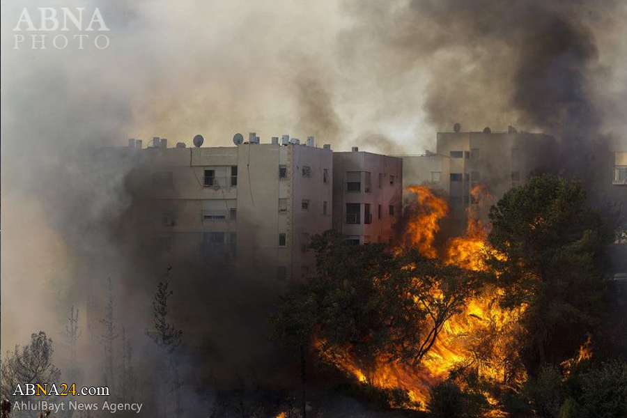 الخارجية الإسرائيلية تشكر مصر والأردن والسلطة الفلسطينية!