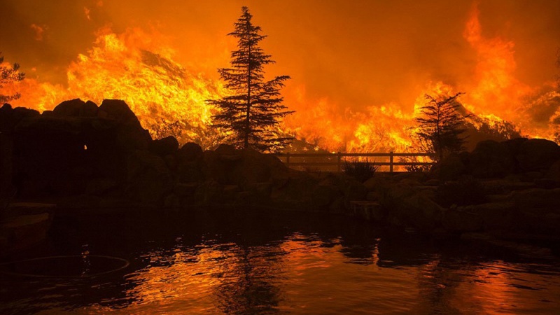 امریکی ریاست ٹینسی کے جنگلات میں آگ بھڑکنے سے ہزاروں افراد ہوئے بےگھر