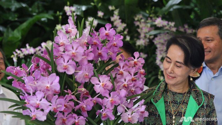 စင္ကာပူက သစ္ခြမ်ိဳးစိတ္တစ္မ်ိဳးအား ေဒၚေအာင္ဆန္းစုၾကည္ နာမည္မွည့္ေခၚကာ ဂုဏ္ျပဳ