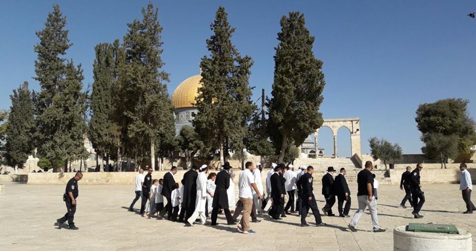 Dozens of Israeli settlers break into al-Aqsa Mosque