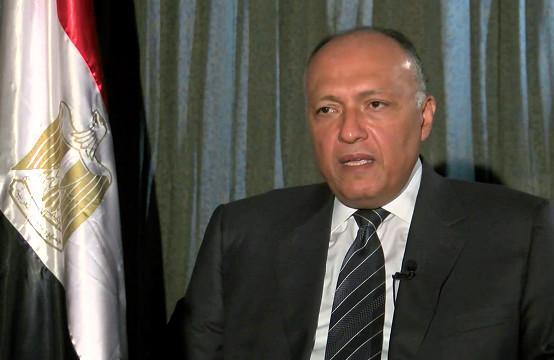 وزير الخارجية المصري يؤكد التزام بلاده بوحدة سوريا والحفاظ على الدولة