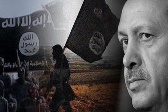 ويكيليكس يكشف علاقة صهر أردوغان بنفط "داعش"