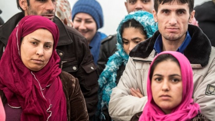 Deutschland weist 50 afghanische Flüchtlinge aus