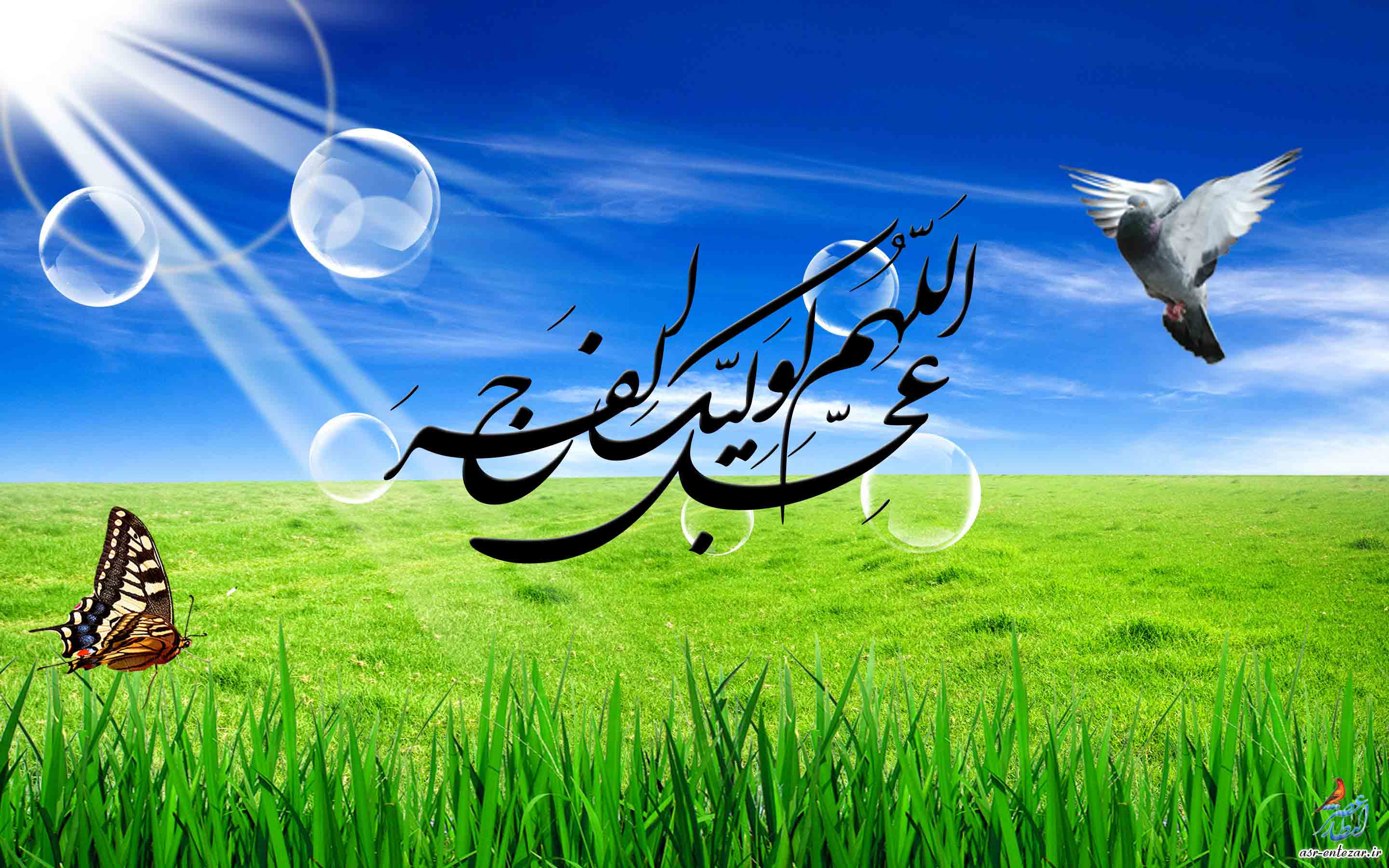 9ربيع الاول یوم العید؛ آغاز ولایت امام زمانہ تمام منتظرین کو مبارک ہو