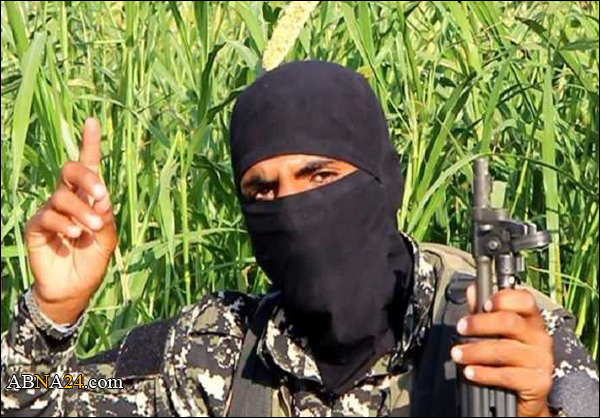 "داعش" تنشر صورة منفذ تفجير الكنيسة البطرسية
