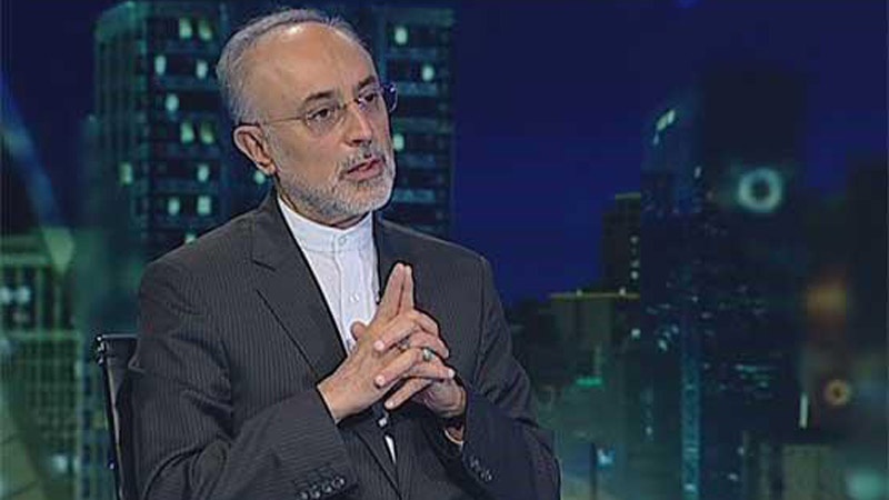 مشترکہ جامع ایکشن پلان پر عمل درآمد کے سلسلے میں امریکہ کی وعدہ خلافیاں جاری: صالحی