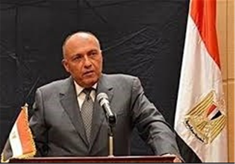 شام کی سالمیت اور خود مختاری پر مصری وزیر خارجہ کی تاکید